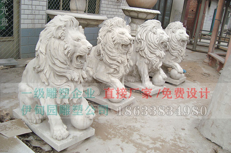 DSC06173.jpg DSC06173.jpg