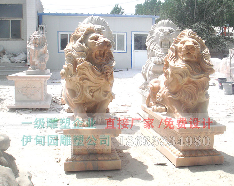 DSC03913.jpg DSC03913.jpg